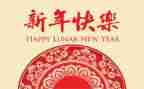 庆新年大班教案8篇