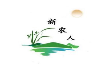 医院新农合工作总结5篇