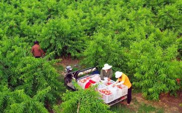 新农保个人总结模板8篇