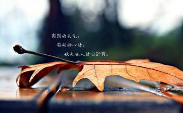 关于心情的作文6篇