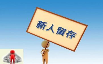 新人训个人总结6篇