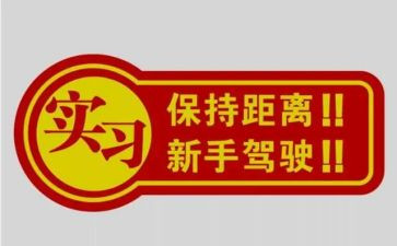 新手没工作总结6篇