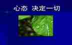员工心态培训心得6篇
