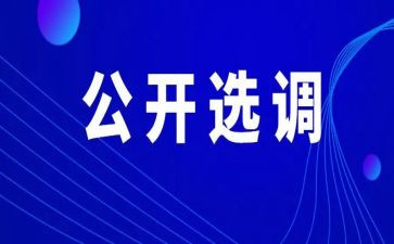 2024选调生工作总结5篇
