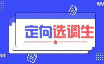 选调生2023年工作总结8篇