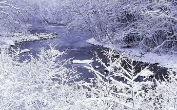 除雪比赛工作总结5篇