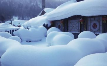 机关除雪工作总结模板8篇