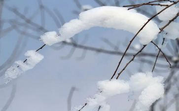 乡镇除雪工作总结6篇