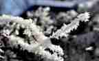 除雪志愿者活动总结通用6篇