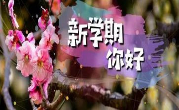 第二学期个人工作总结8篇