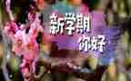 新学期主题班会活动方案8篇