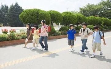 学生工作科工作总结精选5篇