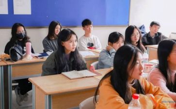 学习期工作总结优秀6篇