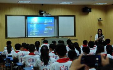工作后学习期个人总结优质5篇