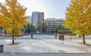 学校培训个人总结通用7篇