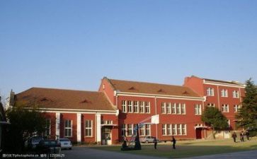 学校安全总结800精选7篇
