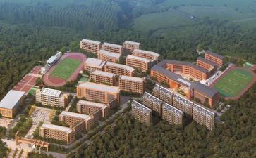 学校安全工作年度工作总结模板5篇