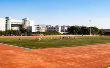 去学校做活动总结8篇