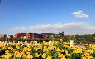 学校演练月活动总结7篇