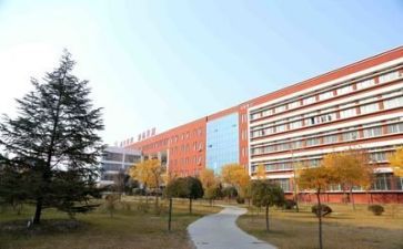 学校环保的活动总结7篇