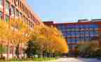 2023年学校个人总结参考5篇