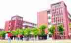 学校教师工作个人总结5篇