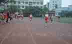 学校体育工作年度总结报告7篇