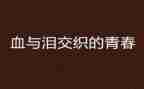 血与泪观看活动总结8篇