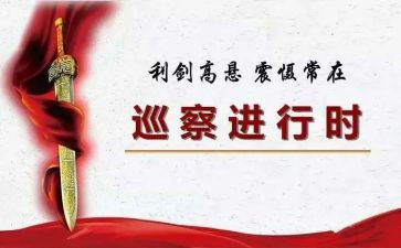 巡察组个人述职报告6篇