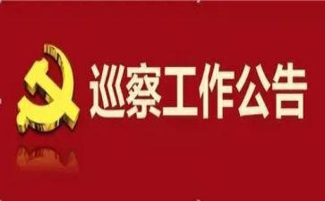 巡察巡察工作总结5篇