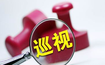 巡查周工作总结8篇
