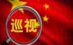 巡查员的工作总结5篇