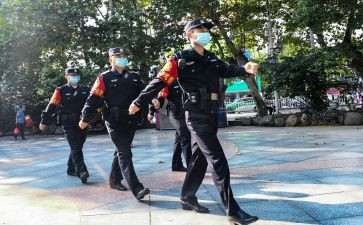 巡警队月工作总结6篇