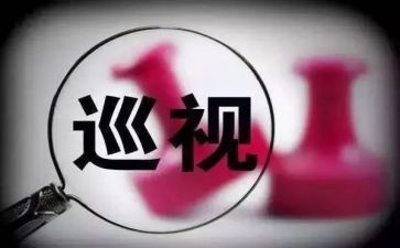 巡视工工作总结8篇