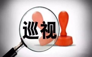讲巡视工作总结7篇