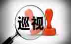 讲巡视工作总结7篇