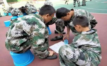 2024年上半年培训学校工作总结8篇