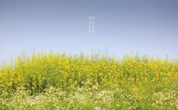 叙事作文范文8篇
