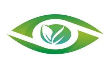 爱眼的活动总结7篇