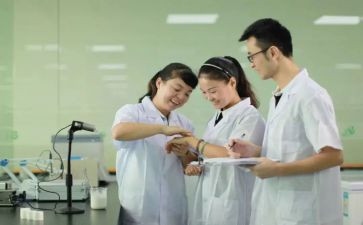 年研发工作总结5篇