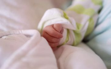 幼儿园字宝宝教案5篇