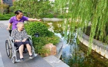 养老月活动总结8篇