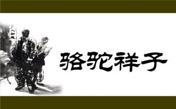 秋天的样子作文5篇