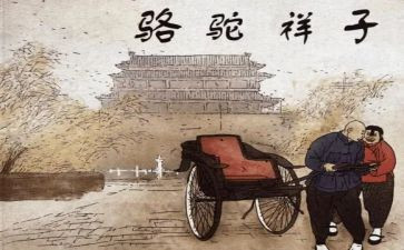 该有的样子作文8篇