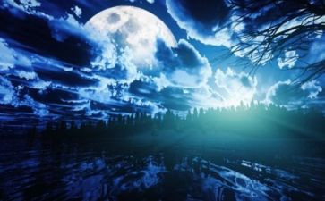中秋夜亲子活动总结6篇
