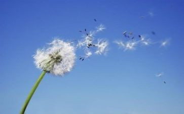 义务教育英语课程标准2024心得体会5篇