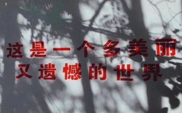 真遗憾的作文8篇