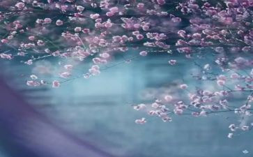 一季度经作工作总结模板5篇