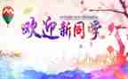 迎新年活动方案优秀6篇