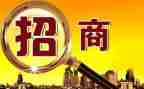 上半年招商引资工作总结8篇